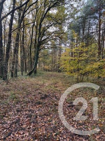 Terrain à vendre  56730 m2 LASSAY SUR CROISNE - 41
