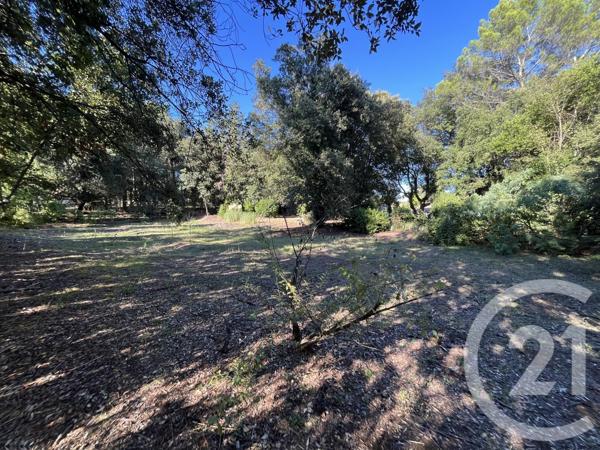 Terrain à vendre  1500 m2 ROQUEFORT LES PINS - 06