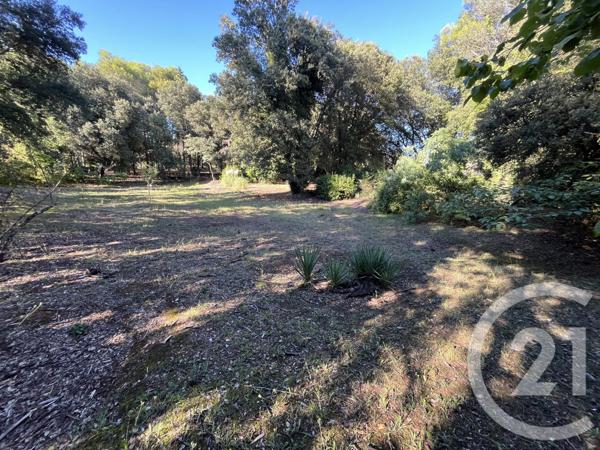 Terrain à vendre  1500 m2 ROQUEFORT LES PINS - 06