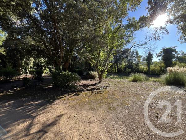 Terrain à vendre  1500 m2 ROQUEFORT LES PINS - 06