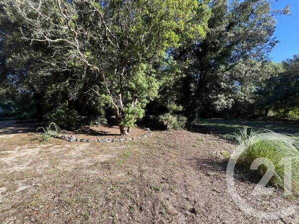 Terrain à vendre  1500 m2 ROQUEFORT LES PINS - 06
