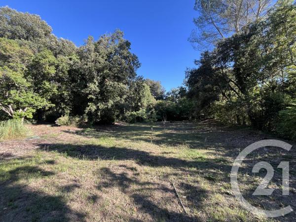 Terrain à vendre  1500 m2 ROQUEFORT LES PINS - 06