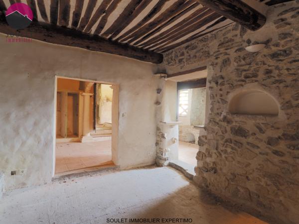 L'Isle-sur-la-Sorgue (84800) Maison de maitre à rénover sur 7000m² de parc