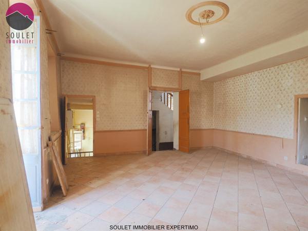 L'Isle-sur-la-Sorgue (84800) Maison de maitre à rénover sur 7000m² de parc