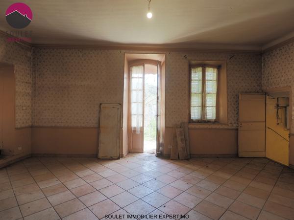 L'Isle-sur-la-Sorgue (84800) Maison de maitre à rénover sur 7000m² de parc