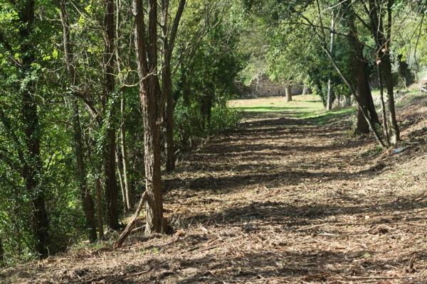 L'Isle-sur-la-Sorgue (84800) Maison de maitre à rénover sur 7000m² de parc