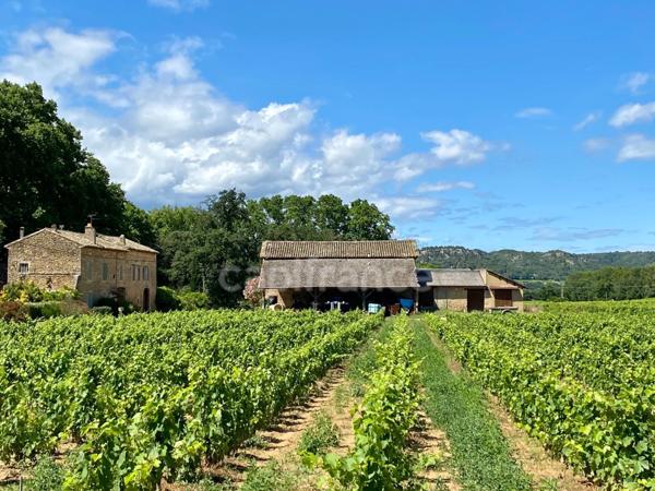 Dpt Gard (30), Domaine viticole de 16 hectares avec Chai et ancienne ferme indépendante.