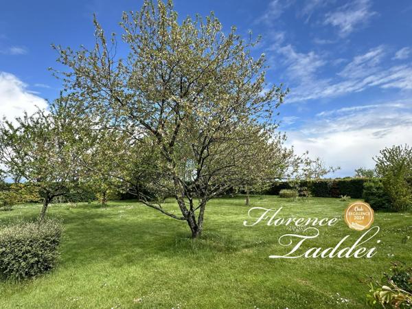 Maison familiale sur un grand terrain au calme