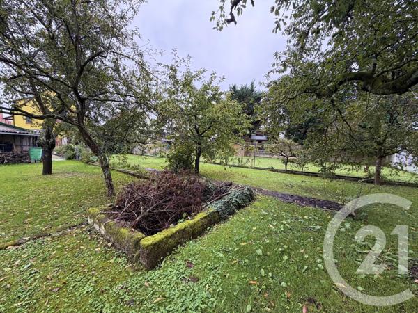 Maison à vendre  6 pièces - 125 m2 LINGOLSHEIM - 67