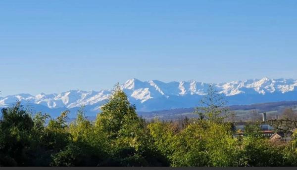 Maison à vendre 7 pièces - 190 m2 - Garage - Piscine - 8 000 m2 de terrain
