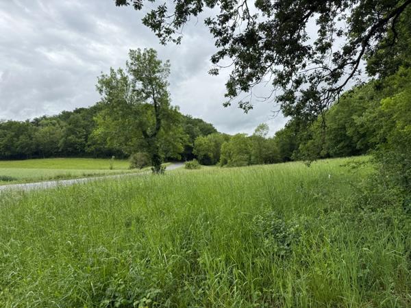 Maison à vendre 7 pièces - 190 m2 - Garage - Piscine - 8 000 m2 de terrain