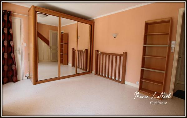 Propriété 2 maisons, Loiret, 322m², 8 chambres, jardin clos, Pierres