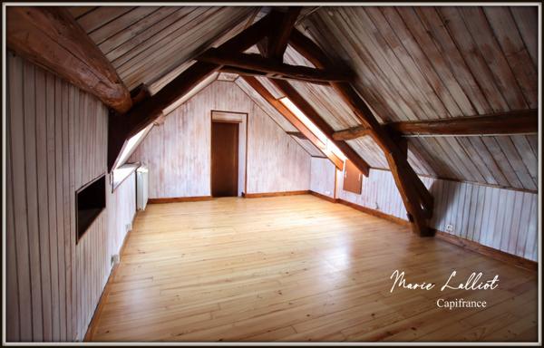 Propriété 2 maisons, Loiret, 322m², 8 chambres, jardin clos, Pierres