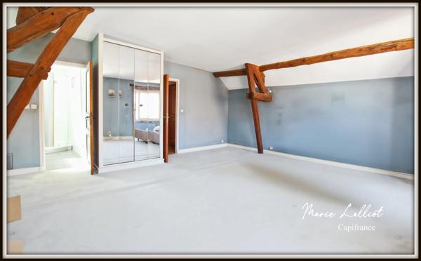 Propriété 2 maisons, Loiret, 322m², 8 chambres, jardin clos, Pierres