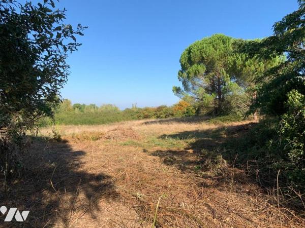 Terrain à lotir, centre village