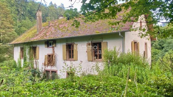 Ancienne maison forestière - Vente interactive