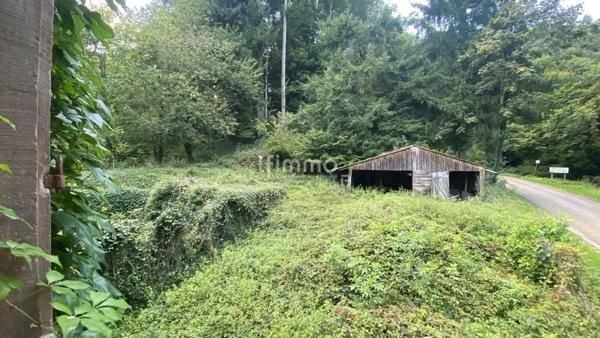 Ancienne maison forestière - Vente interactive