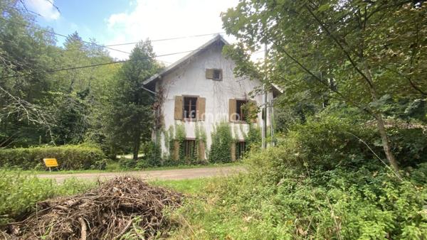 Ancienne maison forestière - Vente interactive