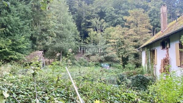 Ancienne maison forestière - Vente interactive