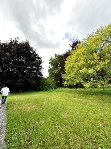 Maison à rénover sur beau terrain arboré à Chaumont Détails des diagnostics énergétiques