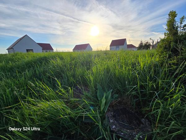 beau terrain viabilisé