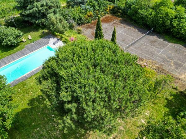 Vente Maison de maître Lherm 17 Pièces 484 m²