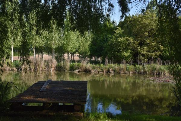 Vente / Ensemble de 2 maisons