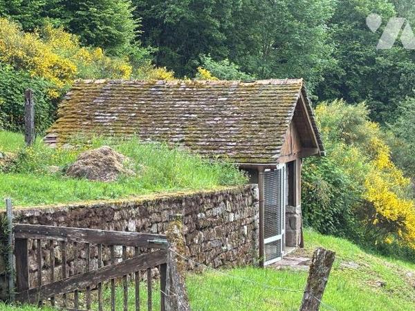 A VENDRE FERME MAISON LE VAL D'AJOL VOSGES 88340
Ferme maison de village rénovée entre 2012 et...