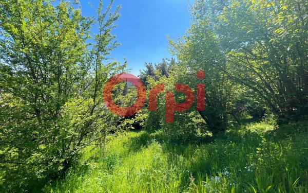 Terrain à vendre    Palaiseau