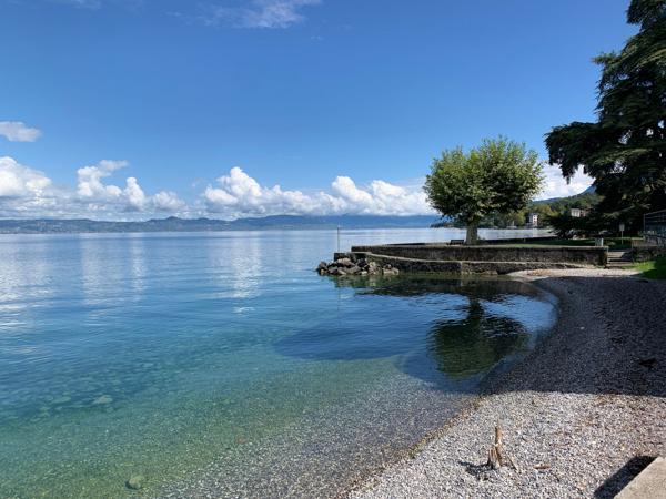 Vente Appartement de luxe Amphion-les-Bains 4 Pièces 90 m²