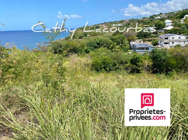 Superbe Terrain vue mer- Vieux Habitants -Guadeloupe