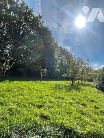 A ACHETER sur la commune de SAINT-ULPHACE

Terrain de loisir comprenant un verger avec des ar...