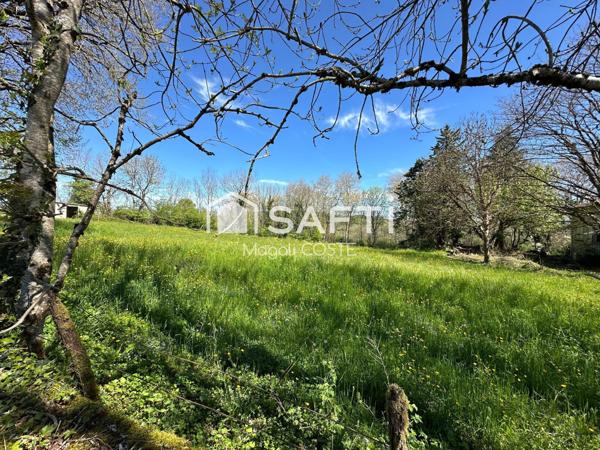 Terrain constructible de 2300 m2