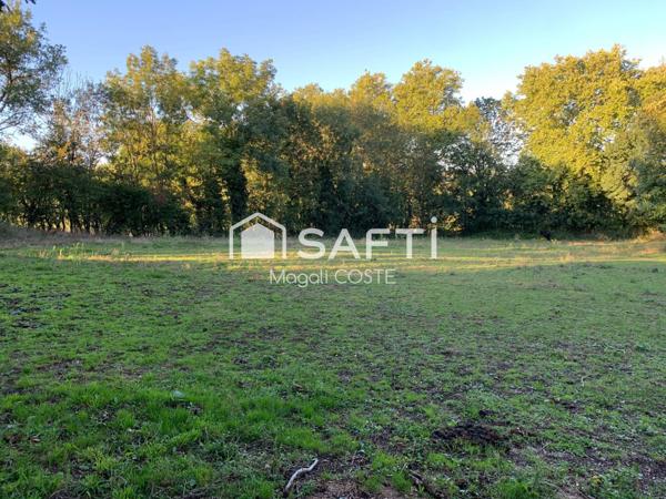Terrain constructible de 2300 m2