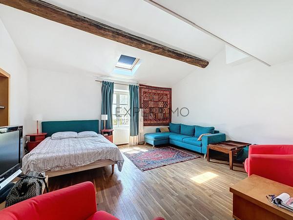 Tournus (71700) Coup de cœur assuré au cœur de Tournus !