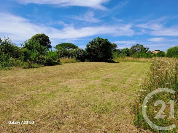 Terrain à vendre  288 m2 ST PIERRE D OLERON - 17