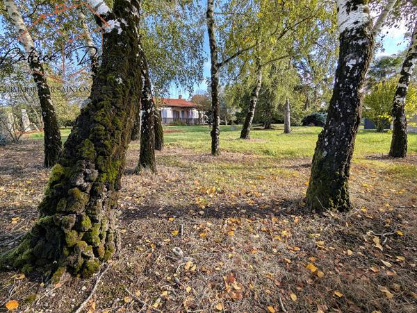 Propriété 124 m²
