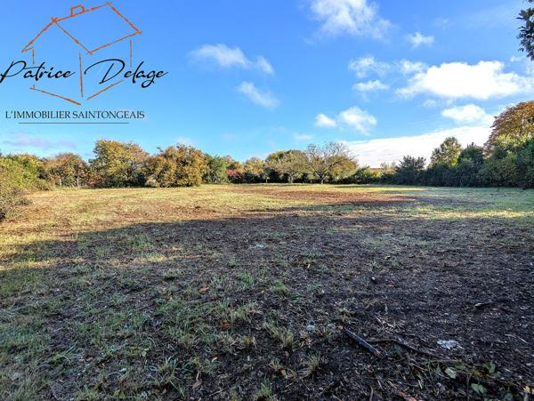 Propriété 124 m²