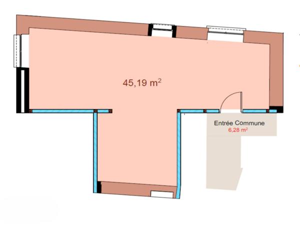 Saint-Priest / Manissieux - T2 en plateau