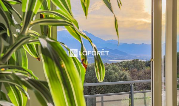 Achat maison Monticello - 9 pièce(s) - 198 m² - 1 090 000 €