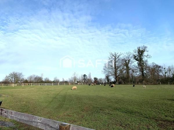 Belle opportunité à saisir ! Chambres d'hôtes !