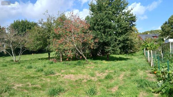 Terrain à Batir à vendre à Carentoir dans le Morbihan (56910), ref : 009/1287