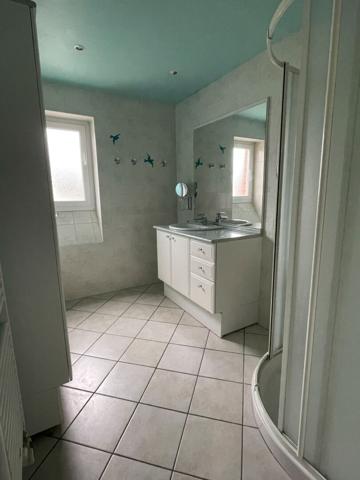 MAISON ET LOCAL A VENDRE 360m² - ROMORANTIN