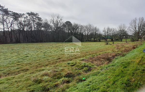 Terrain Secteur Montpon de 3099 m2