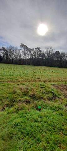 Terrain Secteur Montpon de 3099 m2