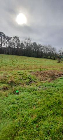 Terrain Secteur Montpon de 3099 m2