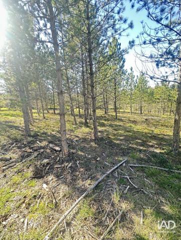 Terrain à vendre 501 m² Mollans-sur-Ouvèze