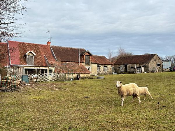 Maison 3 pièces - 91 m² Exclusivité efficity