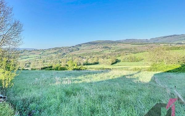 Vente Terrain La roche-vineuse   