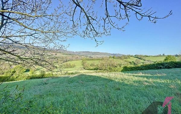 Vente Terrain La roche-vineuse   